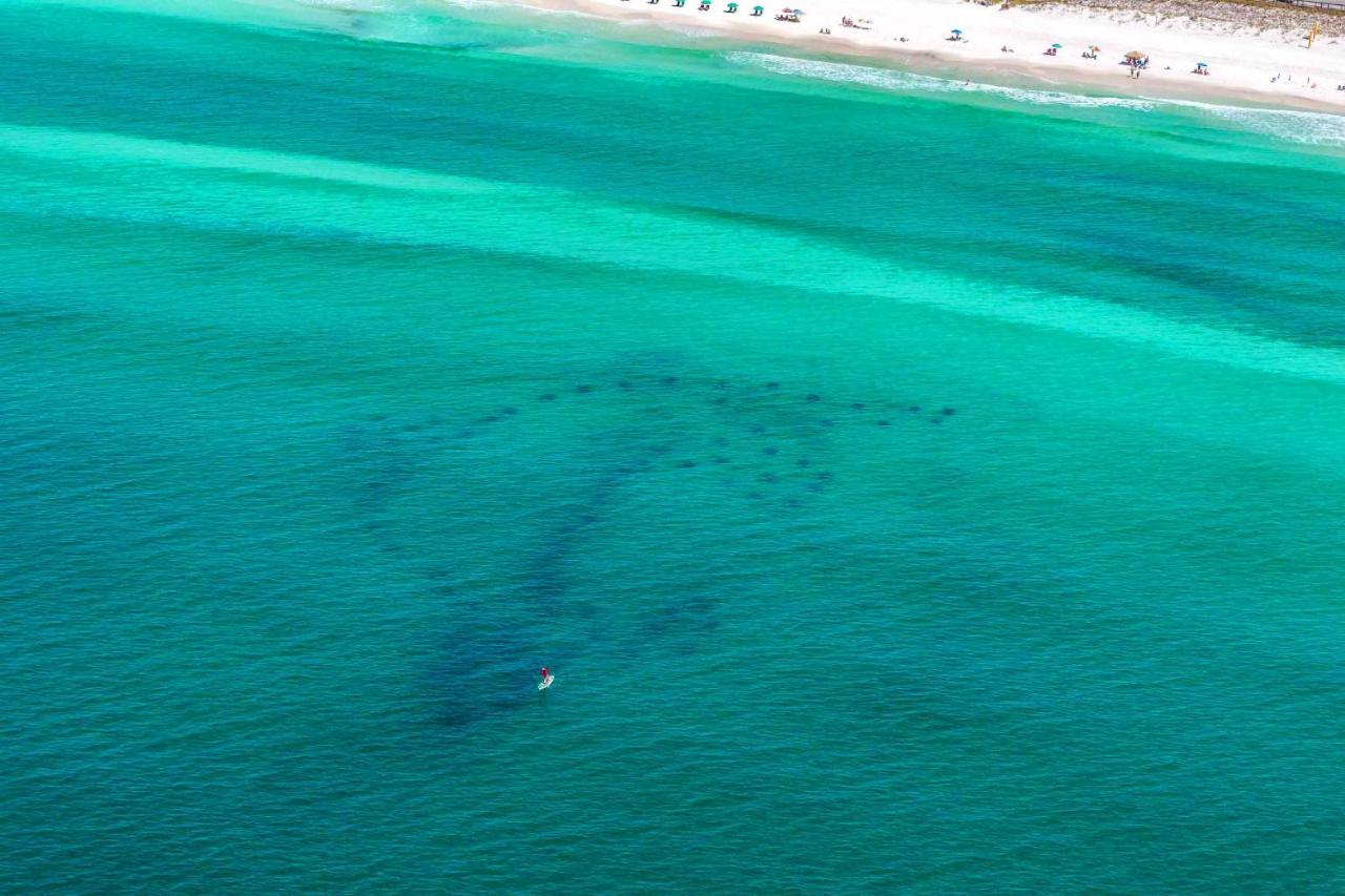 Little House On The Beach Destin Zewnętrze zdjęcie